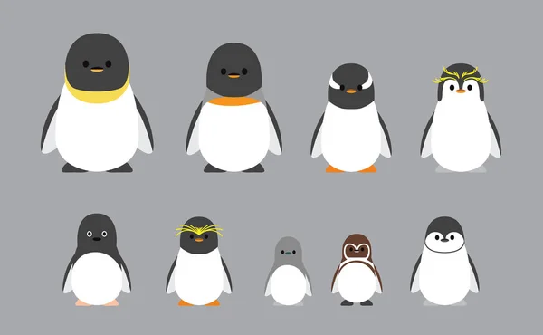 Cute Characters Chubby Penguin Various Breeds Cartoon Vector Illustration — Vetor de Stock
