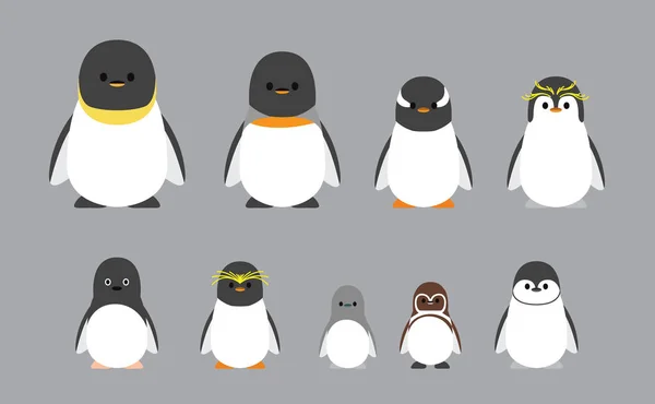 Cute Characters Chubby Penguin Various Breeds Cartoon Vector Illustration — Vettoriale Stock