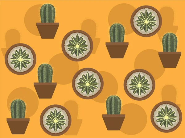 Parodia Magnifica Succulent Cactus Vector Seamless Background Wallpaper — Vector de stock