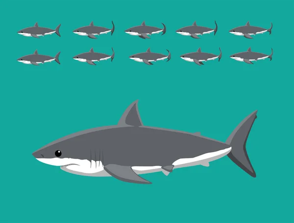 Animal Animation Sequence Great White Shark Cartoon Vector — ストックベクタ