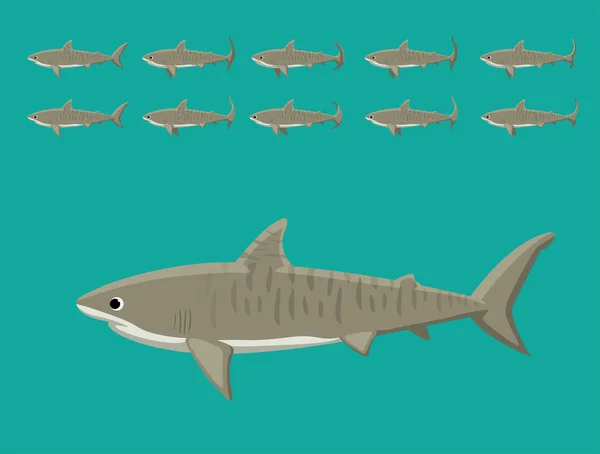 Animal Animation Sequence Tiger Shark Cartoon Vector — Stock Vector