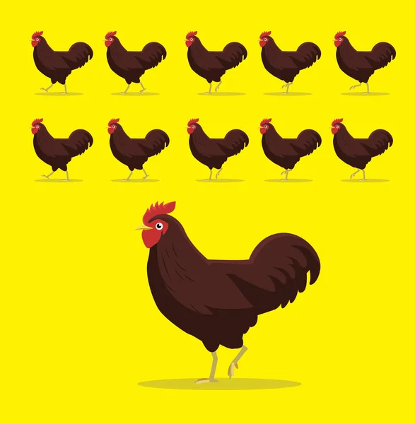 Animal Animation Sequence Rhode Island Red Chicken Cartoon Vector — Stock Vector