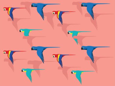 Çeşitli Macaw Renkli Uçan Çizgi Film Karakteri Kusursuz Duvar Kağıdı 01