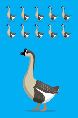 Hayvan Animasyon Sıralaması Çin Kaz Çizgi Filmi Vektörü