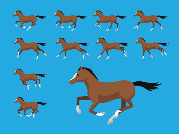 Sequência Animação Cavalo Árabe Correndo Cartoon Vector Ilustração — Vetor de Stock
