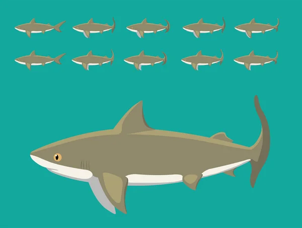 Κινούμενα Σχέδια Ζώων Sequence Bull Shark Cartoon Vector — Διανυσματικό Αρχείο