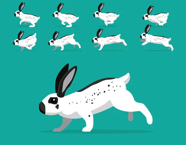 Secuencia Animación Animal Conejo Español Spot Cartoon Vector — Vector de stock