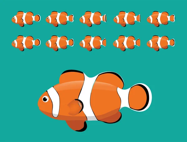 Animal Animation Sequence Ocellaris Clownfish Swimming Cartoon Vector — Stock Vector