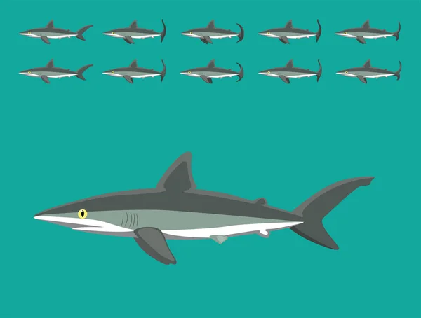 Ακολουθία Κινουμένων Σχεδίων Ζώων Μεταξωτός Καρχαρίας Cartoon Vector — Διανυσματικό Αρχείο