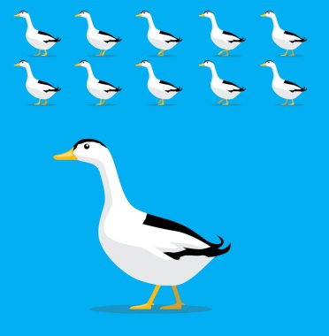 Hayvan Animasyon Dizisi Magpie Duck Çizgi Film Vektörü