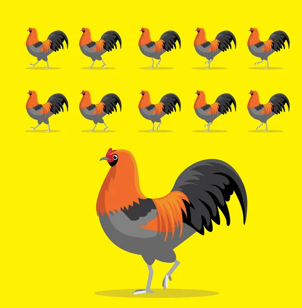 Sekwencja Animacji Zwierząt Ameraucana Rooster Cartoon Vector — Wektor stockowy