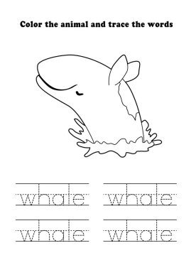 Learning Worksheet Jumping Whale Coloring Tracing Aquatic Animal