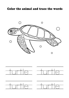 Learning Worksheet Sea Turtle Coloring Tracing Aquatic Animal
