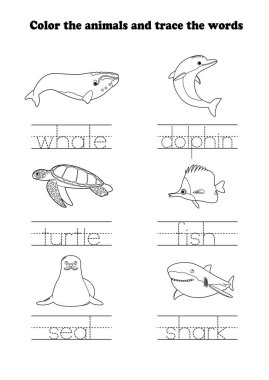 Yunus Kaplumbağası Balık Fok Köpekbalığı İzleme İzleme Deniz Hayvanı