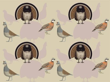 Kuş Tavuğu Bıldırcın Çizgi Filmi Karakteri Kusursuz Duvar Kağıdı Arkaplanı