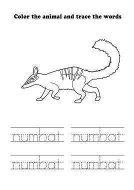 Çalışma Kağıdı Numbat Tarafı Renklendirmesi Öğreniliyor