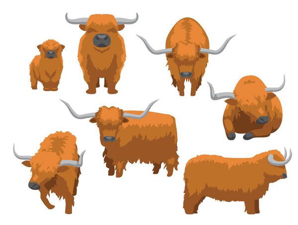 Highland Cattle Various Poses Cartoon Vector Character