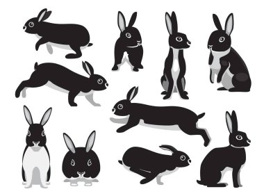 Tavşan Siyah Britanya Petite Çeşitli Pozisyonlar Çizgi Film Karakteri