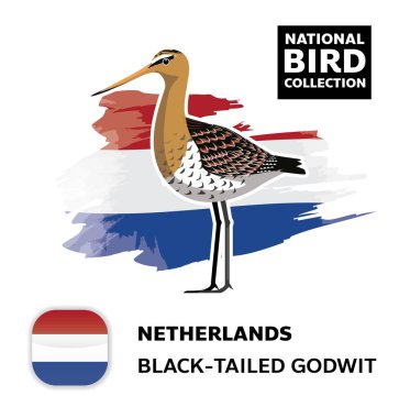 Hollanda Ulusal Kuş Kümesi Kara Kuyruklu Godwit Vektör Karakteri