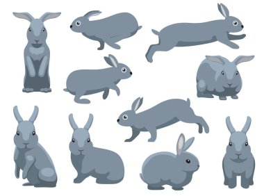 Rabbit Mini Rex Çeşitli Pozisyonlar Çizgi Film Karakteri