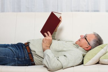 Son sınıf öğrencisi kitap okuyor.