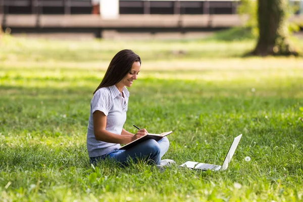 Businesswoman working in park — Stock Photo, Image
