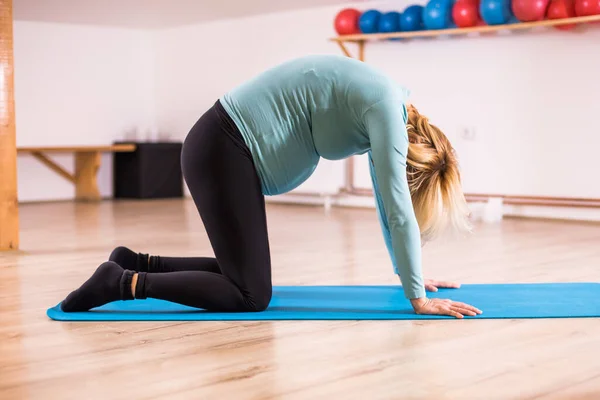 Pregnant Woman Enjoys Exercising Yoga Marjaryasana Cat Pose — Foto Stock