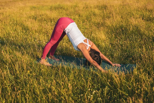 在大自然中做瑜伽的漂亮女人 Adho Mukha Svanasana 脸朝下的狗狗姿势 — 图库照片