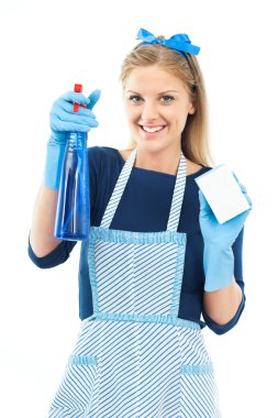 Housewife with spray for glass or windows clipart