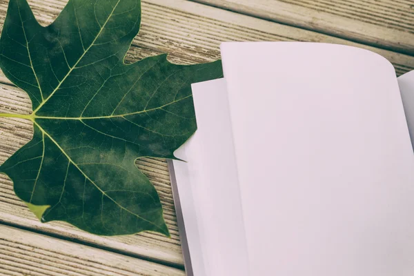 Hoja fotográfica y libro sobre mesa de madera — Foto de Stock