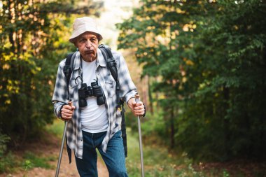 Sırt çantası ve yürüyüş direkleri olan yorgun yaşlı yürüyüşçünün portresi orman yolunda duruyor..
