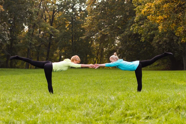 朋友们在公园里的瑜伽练习 — 图库照片