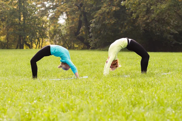 friends practicing yoga in park