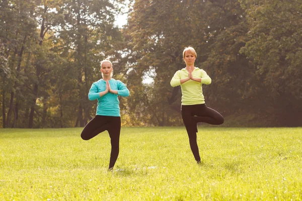 Vänner utövar yoga i park — Stockfoto