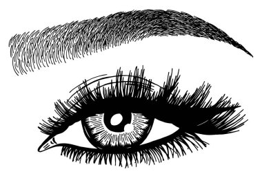 Illustration with woman's eye, eyelashes and eyebrow. Makeup Look. Tattoo design. symbol for brow bar or lash salon.