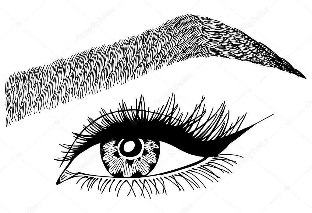Illustration with woman's eye, eyelashes and eyebrow. Makeup Look. Tattoo design. symbol for brow bar or lash salon.