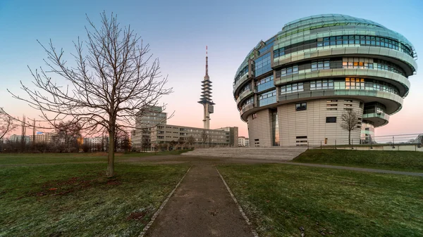 De internationale Neuroscience Instituut Ini — Stockfoto