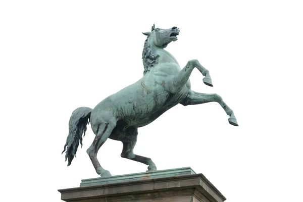 Statua del cavallo all'ingresso dell'Università di Hannover — Foto Stock