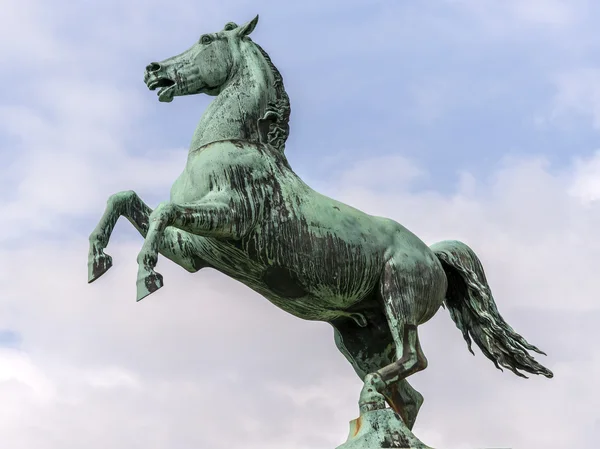 Statua del cavallo all'ingresso dell'Università di Hannover — Foto Stock