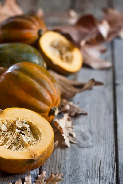 Dekoratif kabaklar arka plan