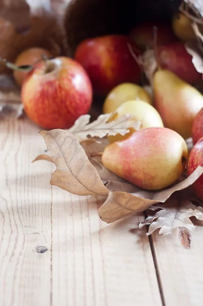 Peras y manzanas con hojas de otoño de fondo — Foto de Stock