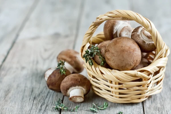 Mushrooms in basket — Stock Photo, Image
