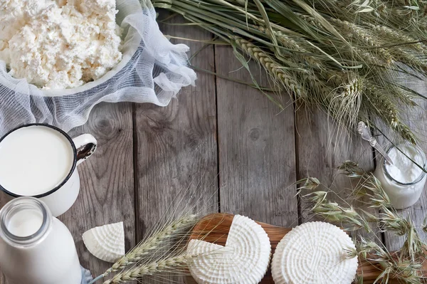 Dairy products and grains background — Stock Photo, Image