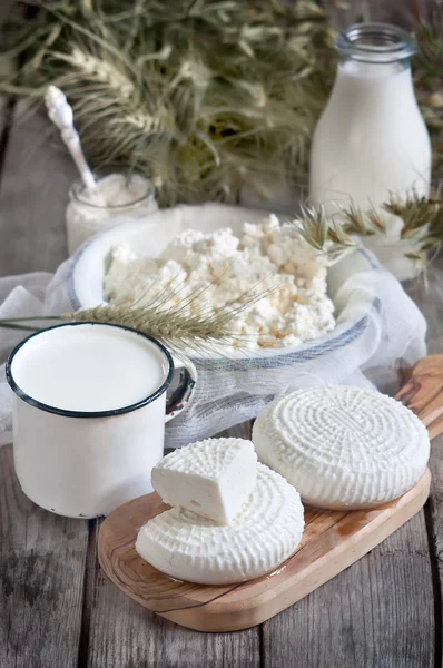 Dairy products and grains — Stock Photo, Image