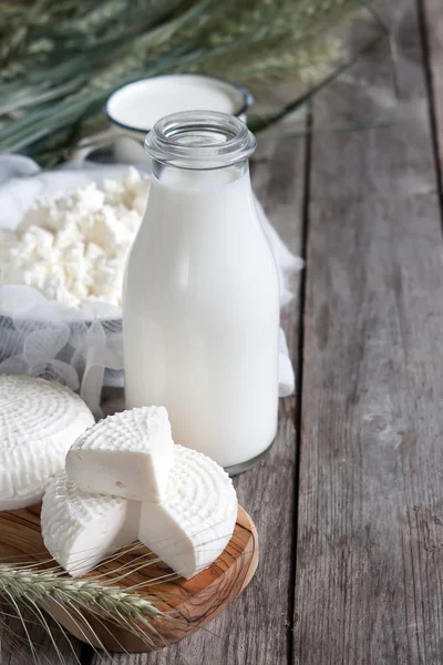 Dairy products and grains background — Stock Photo, Image