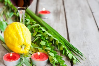 Sukkot sembolleri