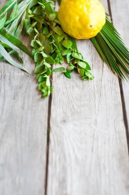 Sukkot sembolleri