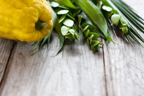 Simboli di Sukkot — Foto Stock