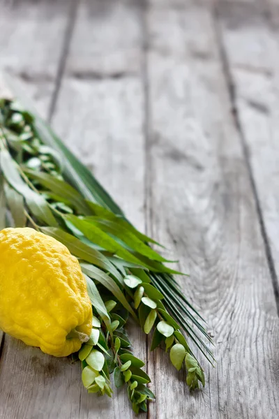 Symbole des Sukkot — Stockfoto