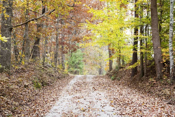 Viejo camino de grava en otoño — Foto de Stock